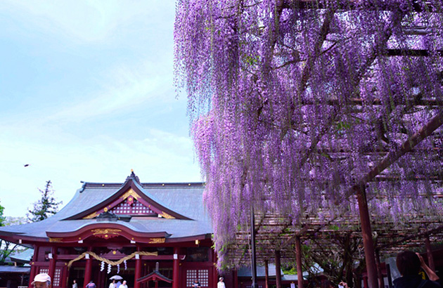 笠間市 笠間稲荷神社