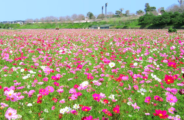 小美玉市 希望ヶ丘公園