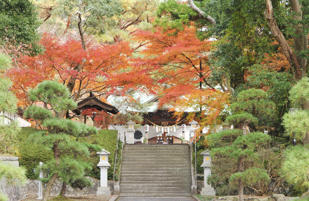 東海村 大神宮