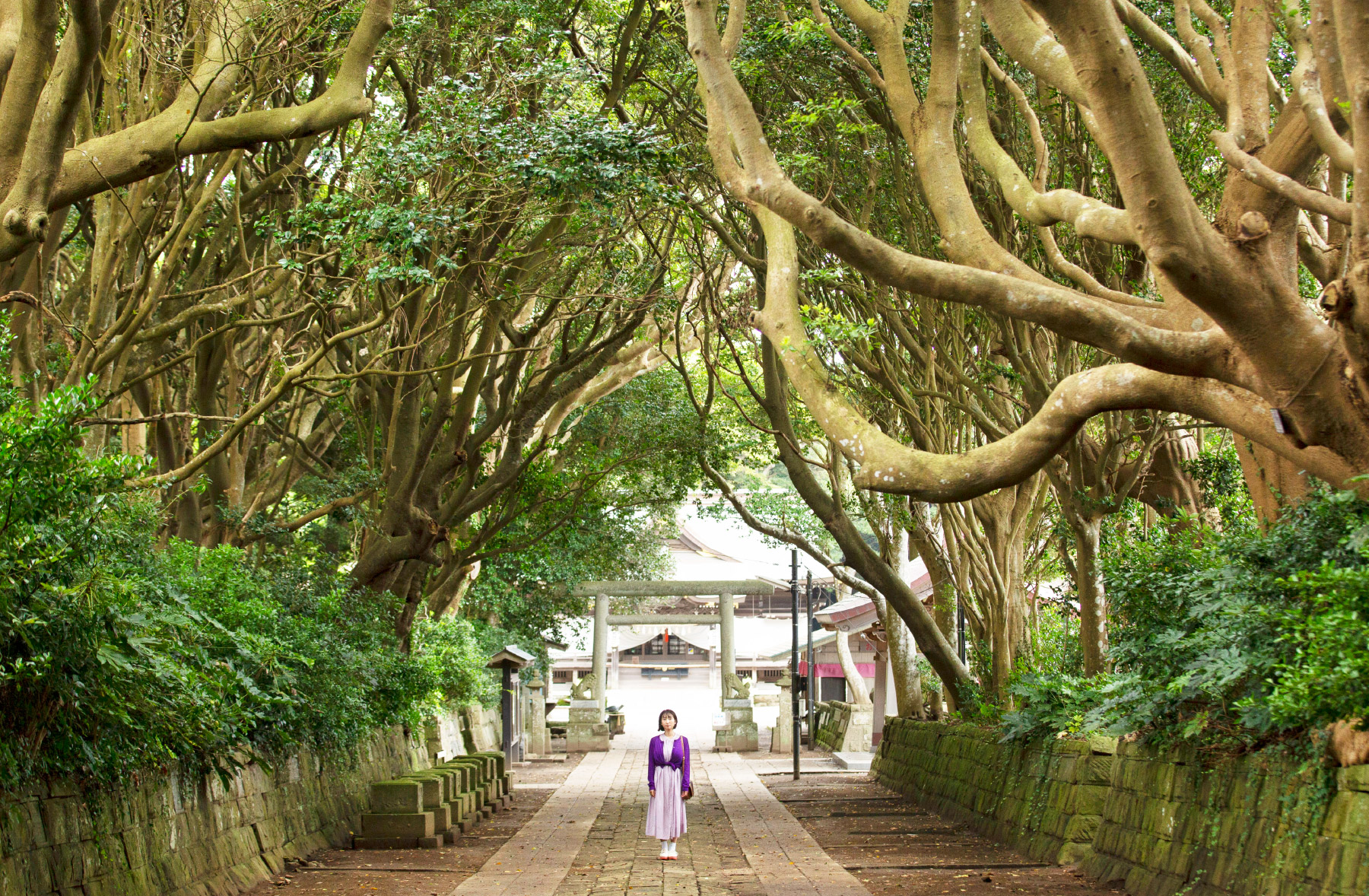 酒列磯前神社(ひたちなか市)