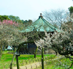 国の重要文化財「弘道館」