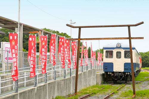 国営ひたち海浜公園